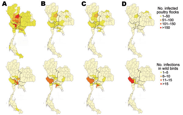 Distribution of highly pathogenic avian influenza (HPAI) subtype H5N1 infections in poultry flocks (top) and wild birds (bottom), Thailand. A) 2004, B) 2005, C) 2006, and D) 2007.