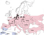Thumbnail of Geographic distribution of Eptesicus serotinus bats (red), E. isabellinus bats (blue), and cases of rabies in bats (green dots), Europe, 1990–2009. Obtained from Rabies Bulletin Europe (www.who-rabies-bulletin.org/).