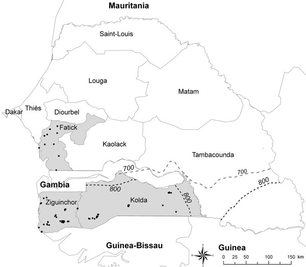 Sampled villages (black dots) in the 3 main regions of Senegal for pig production, Fatick, Ziguinchor, and Kolda (gray shading). Dashed lines indicate the 700 mm (gray) and 800 mm (black) rainfall isohyets for 2006. The southern limit range of Ornithodoros sonrai tick distribution (750 mm) can be estimated.