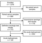 Thumbnail of Flowchart indicating selection of study participants with a diagnosis of acute leptospirosis, southern Sri Lanka, 2007.
