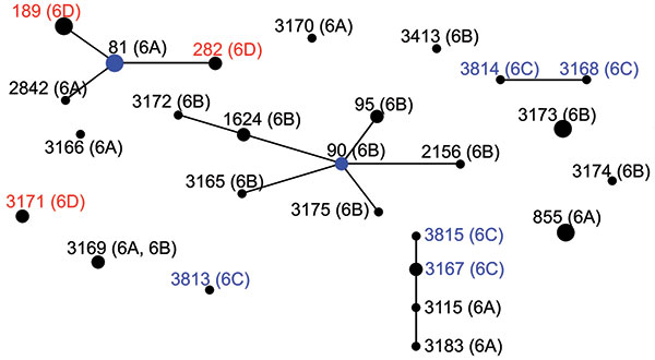 eBURST analysis of 134 strains of Streptococcus pneumoniae serogroup 6. Serotypes are indicated in parentheses. Circle size correlates with number of strains of each sequence type. Blue circles indicate predicted founders (original sequence types within the cluster). Serotype 6D is shown in red, serotype 6C in blue.