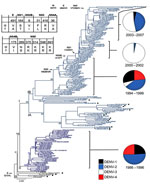 Thumbnail of Evolution of dengue virus (DENV) serotype 2, Puerto Rico. Maximum likelihood phylogeny of the 140 Puerto Rico and 20 international isolates of DENV-2 (see number of isolates by year below). Names of clades (I, II, and III) and subclades (IA, IB) are shown at the base of their respective branches on the phylogeny tree. Clade II (dark blue) circulated during 1986–1996 and clade I (light blue) during 1994–2007. Subclade IA and clade III represent foreign, transient reintroductions thro