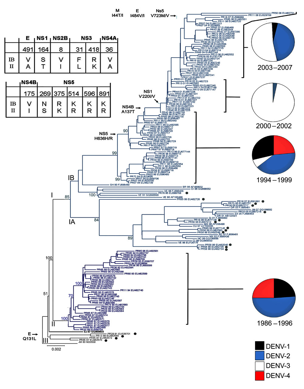 Evolution of dengue virus (DENV) serotype 2, Puerto Rico. Maximum likelihood phylogeny of the 140 Puerto Rico and 20 international isolates of DENV-2 (see number of isolates by year below). Names of clades (I, II, and III) and subclades (IA, IB) are shown at the base of their respective branches on the phylogeny tree. Clade II (dark blue) circulated during 1986–1996 and clade I (light blue) during 1994–2007. Subclade IA and clade III represent foreign, transient reintroductions throughout the 22