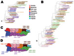 Thumbnail of Geographic clustering of Puerto Rico dengue virus lineages. A) Maximum-likelihood phylogeny of clade II. All isolates indicate year of case presentation and GenBank accession numbers. B) Maximum-likelihood phylogeny of subclade IB shows isolates by year and GenBank accession numbers. Six regions had &gt;5 isolates (San Juan, Caguas, Ponce, Mayaguez, Aguadilla, and Arecibo). C) Eight regions of Puerto Rico with colors corresponding to isolates in panel A and year for the 3 regions wi