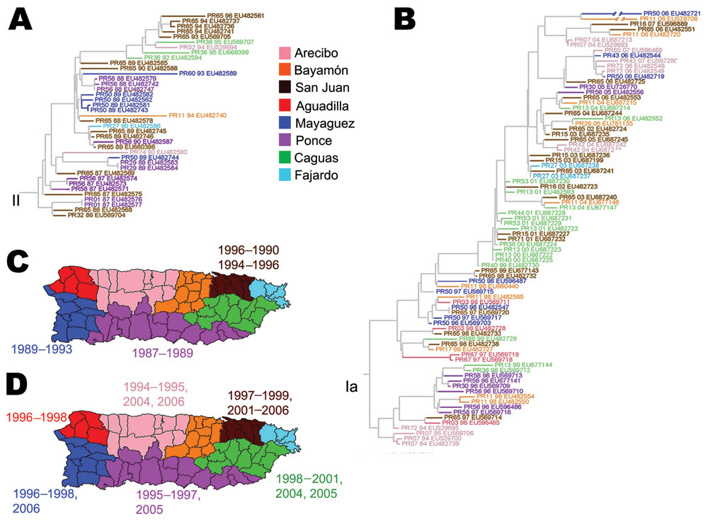 Geographic clustering of Puerto Rico dengue virus lineages. A) Maximum-likelihood phylogeny of clade II. All isolates indicate year of case presentation and GenBank accession numbers. B) Maximum-likelihood phylogeny of subclade IB shows isolates by year and GenBank accession numbers. Six regions had &gt;5 isolates (San Juan, Caguas, Ponce, Mayaguez, Aguadilla, and Arecibo). C) Eight regions of Puerto Rico with colors corresponding to isolates in panel A and year for the 3 regions with more isola