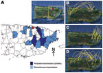 Thumbnail of Epidemiology of dengue virus (DENV) serotype 2 in Puerto Rico, 1997–2006. A) Municipalities with persistent DENV-2 transmission (Caguas, Juncos, Las Piedras, Carolina) versus those with discontinuous transmission (Morovis, Toa Alta, Toa Baja, Cataño, Guaynabo, Cidra, San Lorenzo, Canóvanas, Humacao, Naguabo, Ceiba, Fajardo), 1998–2002. Inset shows satellite view; red dot indicates national capital (San Juan), and yellow box indicates region where DENV-2 took refuge during 2000–2002.