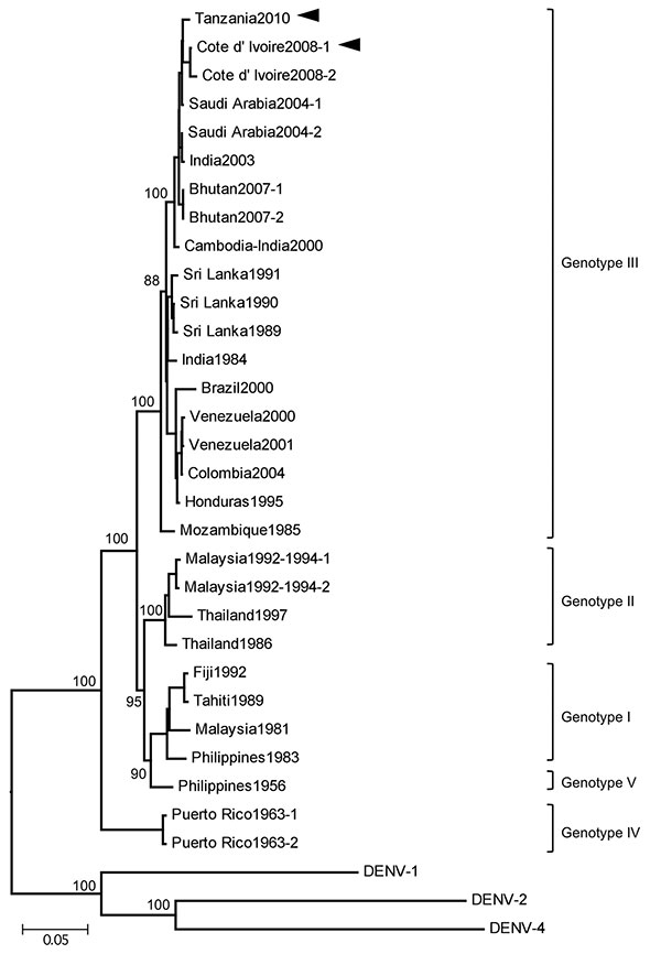 Phylogenetic tree based on the envelope genome sequence of selected dengue virus type 3 (DENV-3) strains. The tree was rooted to DENV-1, DENV-2 and DENV-4. Multiple sequence alignments were performed, and the tree was constructed by using the neighbor-joining method. The percentage of successful bootstrap replication is indicated at the nodes. DENV-3 genotypes are indicated on the right. The isolated DENV-3 strains, D3/Hu/Tanzania/NIID08/2010 strain (Tanzania2010) and D3/Hu/Côte d'Ivoire/NIID48/