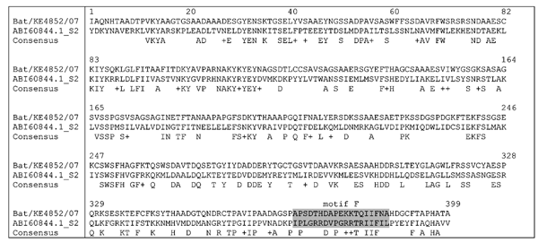 Alignment of viral protein 1 (VP1) amino acid sequence of bat rotavirus strain KE4852/07 from Kenya with cognate VP1 sequence of reference rotavirus A strain S2. The consensus line shows conserved amino acid residues and similar residues (indicated by +). The motif F region (27) is shaded.
