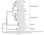 Thumbnail of Maximum-likelihood phylogenetic tree of relationship between various tick-borne encephalitis virus (TBEV) strains isolated from rodents, insectivores, and ticks, Kyrgyzstan, 2007 and 2009. Tree is based on partial sequencing of the envelope protein (from Cys3 to Gly286). Strain names are followed by GenBank accession numbers. The strain from Ala-Archa (KY09_HM641235) is most closely related to strains from Novosibirsk (TBEV 1467 and Z6). This strain was isolated from an Ixodes persu