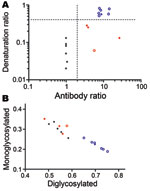 Thumbnail of A) Scattergraph of antibody ratio and denaturation ratio obtained from each sample in Table 2, showing discrimination of scrapie, CH1641, CH1641-like, and bovine spongiform encephalopathy (BSE) samples. The antibody ratio is the SAF84/P4 ratio of the chemiluminescence signal relative to the SAF84/P4 ratio of the control scrapie loaded in each blot (Technical Appendix). The denaturation ratio, obtained from the SAF84 blot, is the ratio between the chemiluminescence signal with 3.5 mo