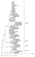 Thumbnail of Phylogenetic analysis of the 1232–1560 nt sequence of the N protein gene of sequenced peste des petits ruminant (PPR) virus strains. The phylogram was generated by analyzing 1,000 bootstrap replicates; clusters were supported by bootstrap values &gt;70%. Strains from Sudan are represented by prefixes: cam, camel; cap, caprine; ov, ovine. The Kabete 0 strain of rinderpest (RBOK) vaccine strain of rinderpest virus retrieved in GenBank (accession no. Z30697) was used as an outgroup. Sc