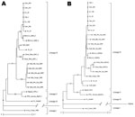 Thumbnail of Phylogenetic analysis of the 3′ end nucleotide sequence of the N protein gene (A) and of the 777–1148 nt sequence of the F protein gene (B) of 11 peste des petits ruminant (PPR) virus samples selected from 2 lineage IV clusters and from lineage III as defined in Figure 1. Other designated strains were as published (10,20–22). The phylogram was generated by analyzing 1,000 bootstrap replicates; clusters were supported by bootstrap percentages &gt;70%. Strains from Sudan are represent