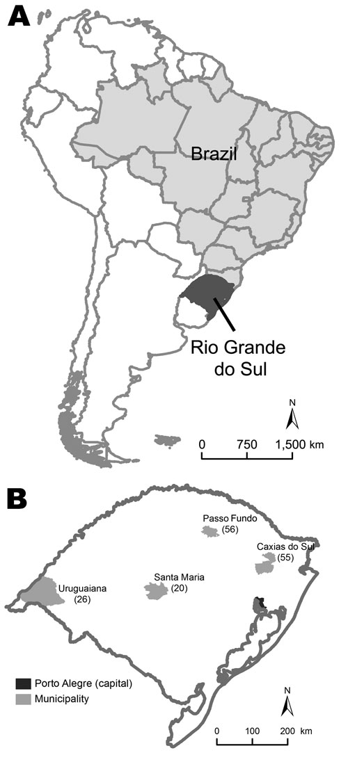 Location of Rio Grande do Sul, Brazil (A) and distribution of 157 patients with pandemic (H1N1) 2009 in 4 cities in this state (B). Values in parentheses are numbers of patients.