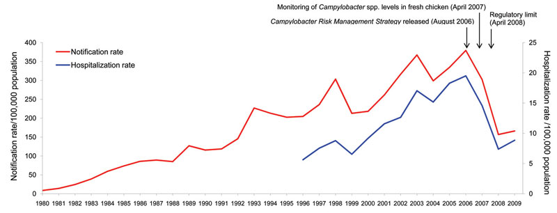 Campylobacteriosis notification rates per 100,000 population by year, 1980–2009, and hospitalization rates per 100,000 population by year, 1996–2009, New Zealand. Arrows indicate key interventions.
