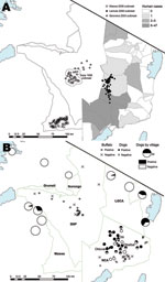Thumbnail of Anthrax cases and exposure to anthrax in the study area, Tanzania. Blue areas indicate lakes. A) Location of wildlife carcasses during anthrax outbreaks. Shaded areas indicate regions where human anthrax cases were reported during 1995–2008. Exact locations of carcasses obtained during the Sopa 1998 outbreak were not available; open circles indicate area where 549 probable cases and 67 suspected cases were detected. For the Seronera 2003 outbreak, locations of cases were randomized