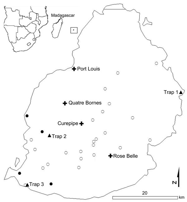 Location of farms where Rusa deer were sampled (open circles), herds with orbivirus-seropositive deer (closed circles), biting midge collection sites (triangles), and main cities (crosses) in Mauritius. Most (99%) Culicoides spp. midges were trapped at sites 1 and 3. Inset show location of Mauritius (in square) in relation to Africa and Madagascar.
