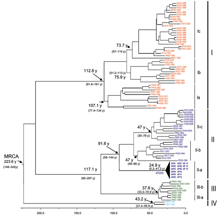 Phylogenetic tree based on the complete nucleotide (nt) sequence of the N gene (693 nt) of 96 Oropouche virus (OROV) strains isolated from different hosts, locations, and periods. The main phylogenetic groups are represented by genotypes I (red), II (dark blue), III (green), and IV (light blue). The values above the main nodes represent the dates of emergence of common ancestors, expressed in years before 2009. The arrows indicate the probable date of emergence of genotypes I, II, III, and IV. N