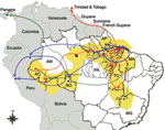 Thumbnail of Geographic dispersion of Oropouche virus (OROV) genotypes in South America during 1955–2009 based on data from the N gene. Yellow shading, coverage area of OROV in Brazil; red line, dispersion route for genotype I; blue line, dispersion route for genotype II; green line, dispersion route for genotype III; black dot, genotype IV. AC, Acre; AP, Amapá; AM, Amazonas; MA, Maranhão; MG, Minas Gerais; PA, Pará; RO, Rondônia, TO, Tocantins.