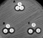 Thumbnail of Double-disk synergy test with 3 disks, bacitracin (B10 disk), neomycin (N30 disk), or polymyxin B (PL-B, PB300 disk) was performed with USA300 strain ATCC BAA1717. Disks were placed at 6 mm (A), 9 mm (B), and 11 mm (C) distance from disk centers. Neomycin and PL-B were found to be weakly synergistic.