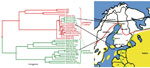 Thumbnail of A. Phylogenetic tree of partial E (1172-nt) gene sequences, shwoing Ixodes ricinus–transmitted strains (red) and I. persulcatus–transmitted strains (green). The tree was reconstructed by the Bayesian Markov chain Monte Carlo method in BEAST (http://beast.bio.ed.ac.uk). Maximum clade credibility tree with an arbitrary root is shown with mean branch lengths, and Bayesian posterior probabilities are given at nodes when &gt;0.7. Country of origin and isolation year are indicated. Four s
