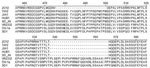 Thumbnail of Amino acid sequence alignments of partial nonstructural protein 2 genes of porcine reproductive and respiratory syndrome virus isolates, China. Dashes indicate deletions.