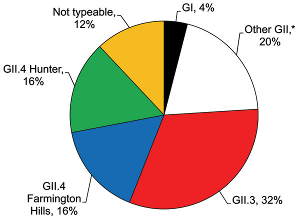 Distribution of norovirus genotypes among 25 outpatients with acute gastroenteritis, Kaiser Foundation Health Plan of Georgia, Inc., USA, March 15, 2004–March 13, 2005. Genogroup II (GII) was more prevalent than GI. *Includes GII.2 (2 specimens), GII.14 (2 specimens), and GII.17 (1 specimen).