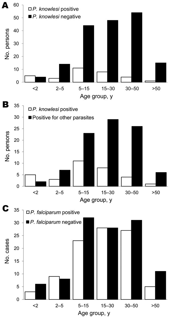 Age analysis of persons tested for Plasmodium knowlesi infection, Khanh Phu, Vietnam. A) Age groups of P. knowlesi–positive persons (n = 32; mean age 15.8 y) compared with P. knowlesi–negative persons (n = 179; mean age 26.2 y); p = 0.0004 (significant) by 2-tailed t test with unequal variance. B) Age groups of P. knowlesi–positive persons compared with ages of those positive for other parasites (n = 93; mean age 24.5 y); p = 0.004 (significant) by 2 tailed t test with unequal variance. C) Age g