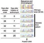 Thumbnail of Time elapsed and chromatogram of wild-type Mycoplasma pneumonia strain M129 (ATCC 29342) compared with results from 5 samples from a 6-year-old boy in Israel. The A2063G mutation is shown to be evolving during treatment and predominates at the end.