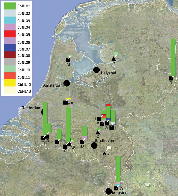 Map of the Netherlands showing locations of farms sampled during the Q fever outbreak, 2007–2010. Farms are indicated by letter and ruminant species (black squares, goats; black triangles, sheep; black star, cattle); genotypes of Coxiella burnetii found per farm are indicated by bars at each farm’s location. The height of the bar indicates numbers of isolates per genotype.