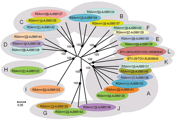 Neighbor-joining tree showing relationships between genome segment-2 (Seg-2) from KUW2010/02 with the 25 reference strains of different bluetongue virus (BTV) serotypes. The tree was constructed by using distance matrices, generated by using the p-distance determination algorithm in MEGA 4.1 (500 bootstrap replicates) (12). The 10 evolutionary branching points are indicated by black dots on the tree (along with their bootstrap values), which correlate with the 11 Seg-2 nucleotypes designated A–L