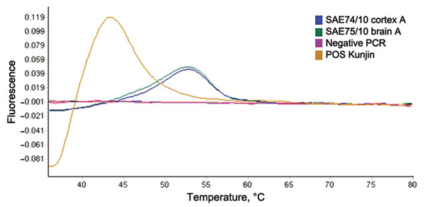 Dissociation curve analysis of the diagnostic nested real-time reverse transcription PCR of West Nile virus isolated from a mare and fetus with fatal neurologic disease, South Africa, 2010. Positive control (Kunjin L1b); SAE74/10 (fetus); SAE75/10 (mare). Expected melting peak of lineage 2 = lineage 1b+6°C; lineage 1a = lineage 1b+10°C.