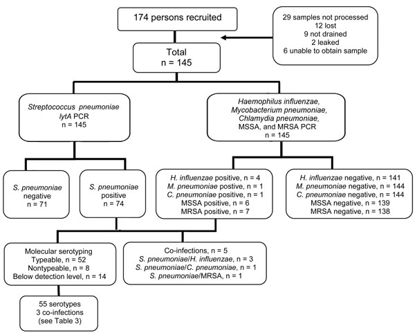 Flow diagram for PCR testing for bacterial pathogens in samples from children with empyema, Australia, 2007–2009. MSSA, methicillin-resistant Staphylococcus aureus; MRSA, methicillin-resistant S. aureus.