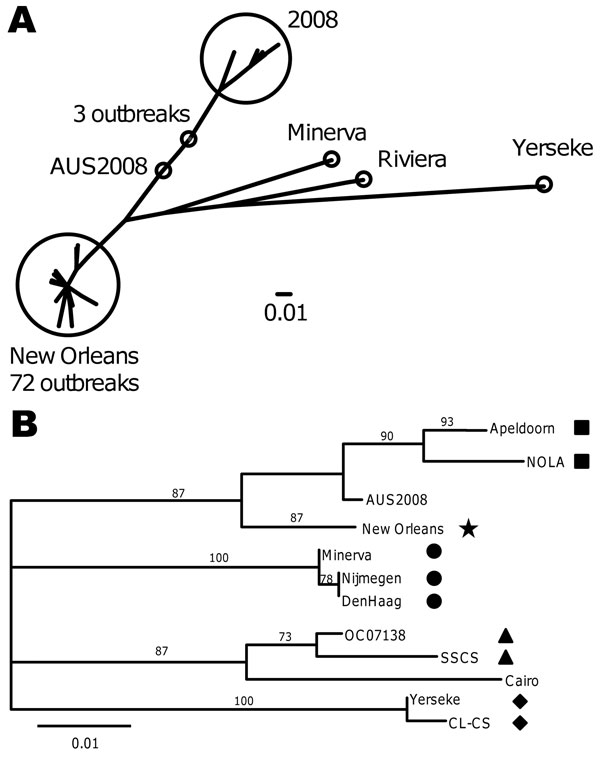 Unrooted phylogenetic tree of the P2 region from all norovirus GII.4 New Orleans strains submitted to CaliciNet and identified by region D analysis from October 2009 through May 2010 (A) and of the complete major capsid protein viral protein 1 of selected norovirus GII.4 variants (B). Numbers on branches represent bootstrap support out of 100. Symbols represent GII.4 variant types (nomenclature proposed by NoroNet in parentheses): black squares, GII.4 NOLA variant; star, GII.4 New Orleans (2010)