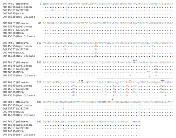Amino acid substitutions in the major capsid protein viral protein 1 of norovirus New Orleans GII.4 strains compared with recent GII.4 variants. The P2 hypervariable region is underlined. *Protruding regions and histo–blood group antigen interacting sites. Dots indicate sequence identity.