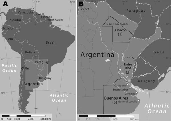 Confirmed and suspected cases of Rickettsia parkeri rickettsiosis, Argentina. The box (A) enlarged in panel (B) shows the extent of the area in which Argentinean provinces, representing patient exposure locations to ticks, are labeled and highlighted. A previous study (10) identified ticks collected from the Paraná Delta near the city of Campana. Numbers of suspected and confirmed cases of R. parkeri rickettsiosis, by province during 2004–2009, are shown in parentheses. The national capital city