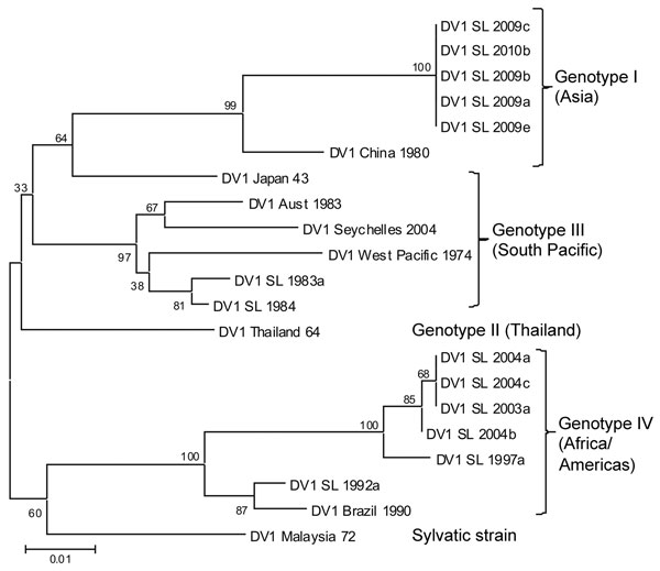 Phylogenetic tree of dengue virus 1 (DENV-1) serotype viruses from Sri Lanka (SL), 2009–2010, and other DENV-1 viruses. The tree is based on a 498-bp (nt 2056–2554) fragment that encodes portions of the envelope protein and nonstructural protein 1. Phylogenetic analysis was conducted by using MEGA5 (10). Percentages of replicate trees in which the associated taxa clustered in the bootstrap test (1,000 replicates) are shown next to the branches. Genotype I (Asia) includes SL isolates from 2009–20
