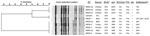 Thumbnail of Dendrogram showing comparison of SmaI pulsed-field gel electrophoresis patterns, staphylococcal cassette chromosome (SCC) mec type, Panton-Valentine leukocidin (PVL) content, and agr type of methicillin-resistant Staphylococcus aureus (MRSA) isolated from meat samples. All MRSA isolates were resistant to β-lactam antimicrobial drugs (ampicillin, penicillin, and oxacillin) and grew on the 6 µg/mL of cefoxitin for screening methicillin resistance. *Isolates with the same arabic number