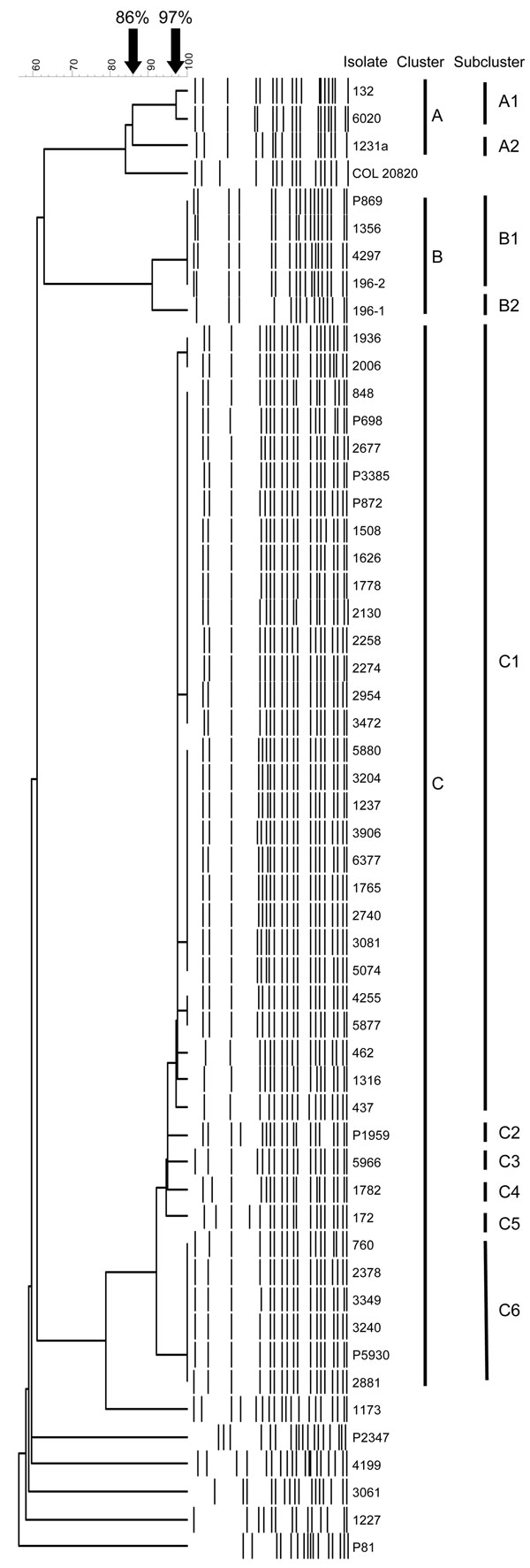 Computer-assisted cluster analysis of pulsed-field gel electrophoresis fingerprints of 53 Acinetobacter baumannii and 2 Acinetobacter spp. pittii isolates. COL 20820 was used as the reference standard for normalization of the digitized gels (14).