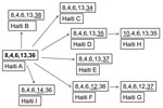 Thumbnail of Relationship of Vibrio cholerae variable-number tandem-repeat sequence types from Haiti, 2010. Numbers represent number of repeats for the 5 alleles tested (VC0147, VC0436-7, VC1650, VCA0171, and VCA0283). Boldface indicates the ancestral sequence type; underline indicates alleles that have changed.