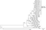 Thumbnail of Phylogenetic tree of enterovirus 68 viral protein 1 gene sequences constructed by using a 927-nt sequence corresponding to nt sequence 2355–3281 in strain 37–99, Osaka, Japan, October 2009–October 2010. Tree was constructed by using the neighbor-joining method. Sequences were aligned by using Clustal X version 1.81. (www.clustal.org/). Genetic distances between sequences were calculated by using the Kimura 2-parameter method. Bootstrap values from 1,000 replicates are shown at the n