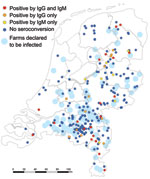 Thumbnail of Residential location of 246 culling workers who were seronegative in December 2009 and their serostatus in June 2010 with location of 89 farms declared to be infected (by PCR-positive bulk-milk monitoring) in 2009 and 2010, the Netherlands. Ig, immunoglobulin. Seroconversion detected by ELISA was confirmed by immunofluorescence assay for 40 persons (38 [95%] at titers &gt;128 and 2 [5%] at titers of 32).