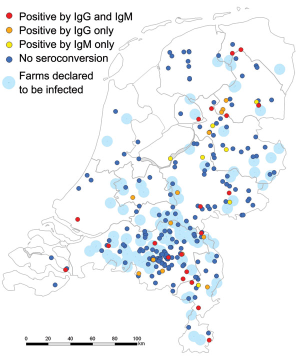 Residential location of 246 culling workers who were seronegative in December 2009 and their serostatus in June 2010 with location of 89 farms declared to be infected (by PCR-positive bulk-milk monitoring) in 2009 and 2010, the Netherlands. Ig, immunoglobulin. Seroconversion detected by ELISA was confirmed by immunofluorescence assay for 40 persons (38 [95%] at titers &gt;128 and 2 [5%] at titers of 32).