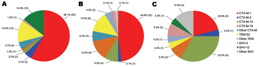 Distribution of extended-spectrum β-lactamase genes in chicken meat (A), human rectal swabs (B), and human blood cultures (C), the Netherlands. Values in parentheses are no. positive.