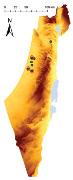 Thumbnail of Geographic location of farms in Israel with horses showing signs of equine encephalosis virus (EEV) infection. Eight horses with suspected EEV infection lived on 7 farms. Red circles indicate farms with EEV-positive cases.