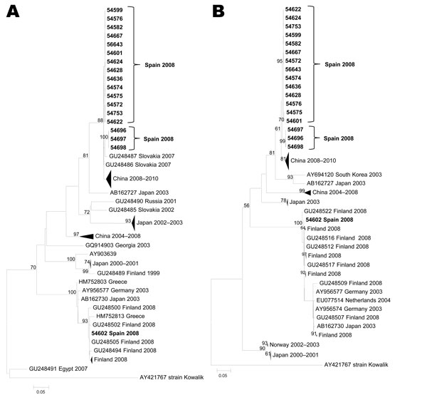 Maximum-likelihood phylogenetic reconstructions for coxsackievirus A10 based on partial viral protein 1 sequences. A) 5′ partial coding region (89 sequences, 246 nt); B) 3′ partial coding region (87 sequences, 397 nt). Bootstrap values &gt;75% are shown. Scale bars indicate number of substitutions per nucleotide position. Multiple strains from the same country sharing the same node were collapsed and shown as triangles with shape proportional to branch distances and number of sequences.