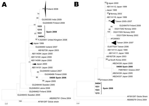 Maximum likelihood phylogenetic reconstructions for coxsackievirus A6 based on partial viral protein 1 sequences. A) 5′ partial coding region (81 strains, 293 nt). B) 3′ partial coding region (68 sequences, 377 nt). Bootstrap values &gt;75% are shown. Scale bars indicate number of substitutions per nucleotide position. Multiple strains from the same country sharing the same node were collapsed and shown as triangles with shape proportional to branch distances and number of sequences.