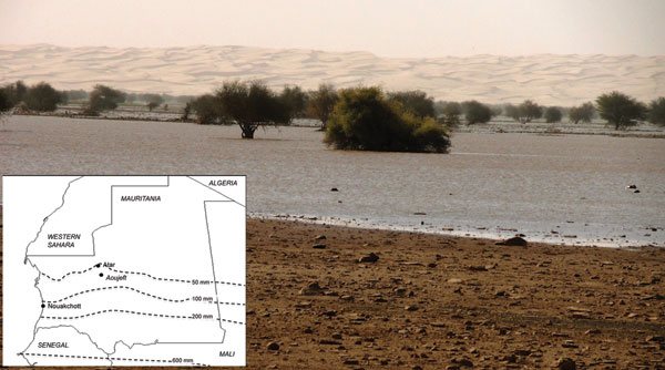 Lefrass Oasis, 30 km north of Atar, one of the main outbreak foci of an outbreak of Rift Valley fever in camels, northern Mauritania. Inset shows the location of Atar and Aoujeft and the isohyets (average during 1965−2002; source: Food and Agricultural Organization of the United Nations, Land and Water development Division).