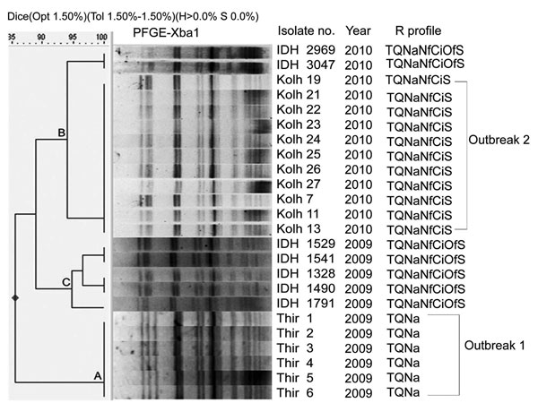 Digested pulsed-field gel electrophoresis (PFGE) profiles of Shigella sonnei outbreak isolates, India (Thiruvananthapuram, Kerala; Kolhapur, Maharashtra), by cluster analysis and comparison with sporadic isolates (IDH). Thir, isolates from Thiruvananthapuram, Kerala; Kolh, isolates from Ispurli, Shiroli Taluk, Kolhapur district, Maharashtra; IDH, isolates from Kolkata, West Bengal; R, resistance; T, tetracycline (30 µg); Q, co-trimoxazole (25 µg); Na, nalidixic acid (30 µg); Nf, norfloxacin (10 