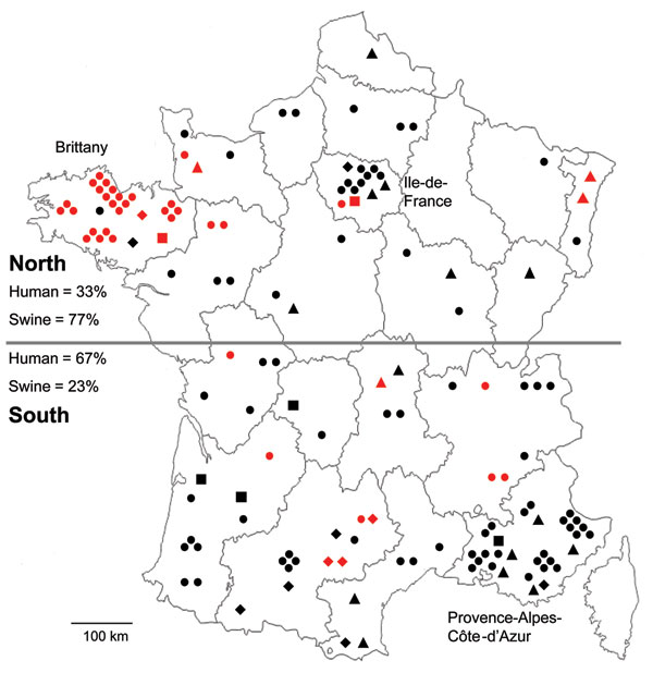 Geographic distribution of hepatitis E virus (HEV) subtypes recovered from humans (n = 100) and swine (n = 43), France, May 2008–November 2009. Black, human HEVs; red, swine HEVs; triangles, subtype 3c; squares, subtype 3e; dots, subtype 3f; diamonds, strains of undefined subtype. Regions with a high density of HEV are named.