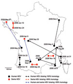 Thumbnail of Geographic distribution and sampling date of human and swine hepatitis E virus (HEV) sequences sharing &gt;99% identities, France, May 2008–November 2009.